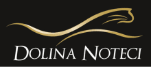 Brand Logo 5
