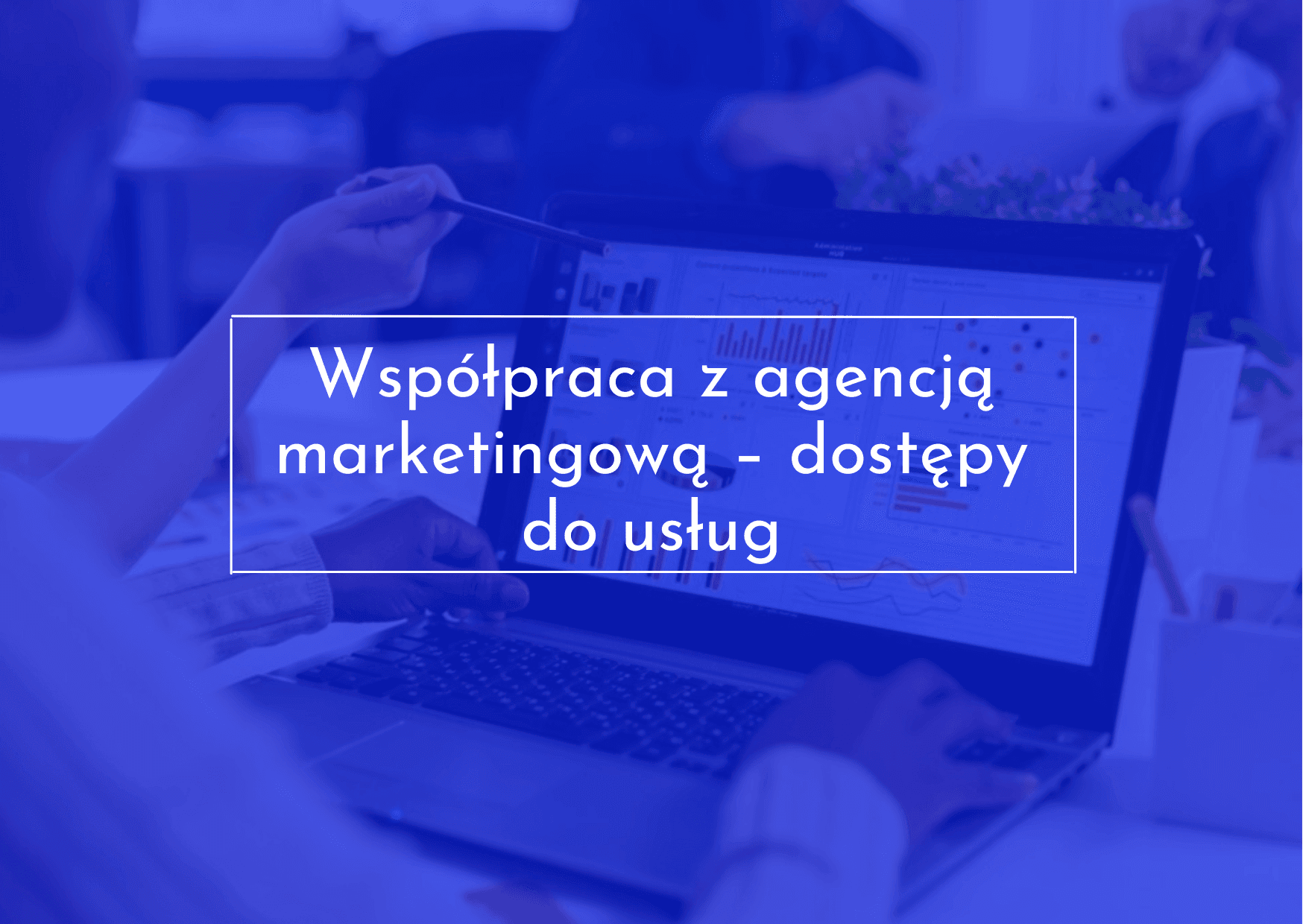 Dostępy do usług dla agencji marketingowej