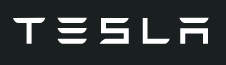 tesla sample logo
